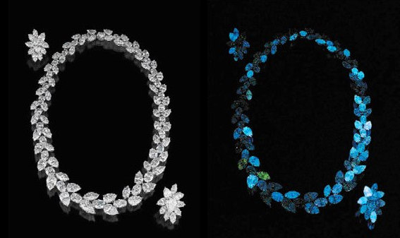 有無熒光的暫時對比 有無熒光的暫時對比