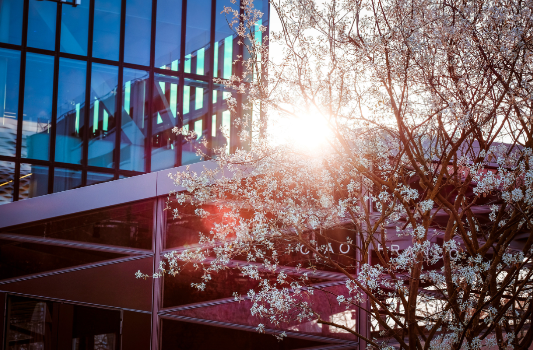 巴塞爾世界鐘表珠寶博覽會 巴塞爾世界鐘表珠寶博覽會